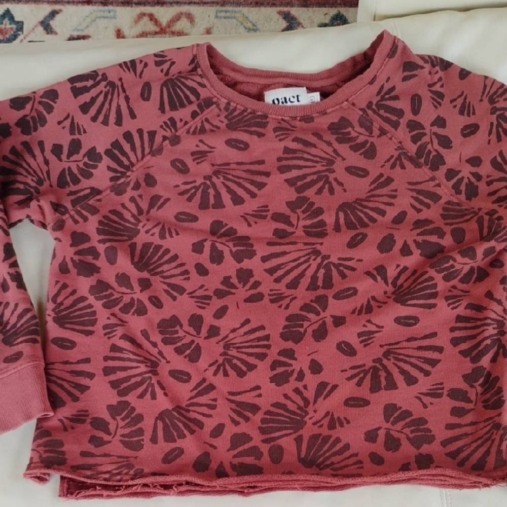 Pact Rust/ Dark Orange Organic Cotton Sweatshirt